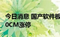 今日消息 国产软件板块异动拉升，鼎捷软件20CM涨停