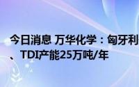 今日消息 万华化学：匈牙利子公司拥有MDI产能35万吨/年、TDI产能25万吨/年