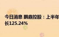 今日消息 鹏鼎控股：上半年归母净利润14.26亿元，同比增长125.24%