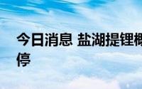 今日消息 盐湖提锂概念股拉升，国机通用涨停