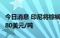 今日消息 印尼将棕榈油出口税起征点下调至680美元/吨