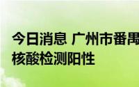 今日消息 广州市番禺区发现2名省外返穗人员核酸检测阳性