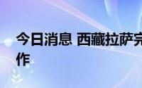 今日消息 西藏拉萨完成首轮全员核酸采样工作