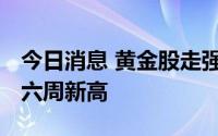 今日消息 黄金股走强，期金站稳1800美元创六周新高