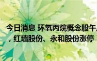 今日消息 环氧丙烷概念股午后持续走高，怡达股份涨超16%，红墙股份、永和股份涨停