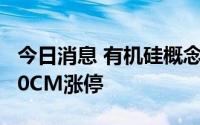 今日消息 有机硅概念股震荡拉升，润禾材料20CM涨停