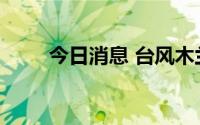 今日消息 台风木兰已登陆广东徐闻