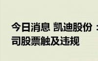 今日消息 凯迪股份：副总经理窗口期减持公司股票触及违规