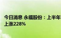 今日消息 永福股份：上半年归母净利润4199.35万元，同比上涨228%