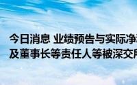 今日消息 业绩预告与实际净利润差异大且盈转亏，创意信息及董事长等责任人等被深交所通报批评