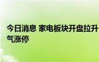 今日消息 家电板块开盘拉升，日出东方、万和电气、万和电气涨停