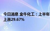 今日消息 金牛化工：上半年归母净利润2373.93万元，同比上涨29.67%