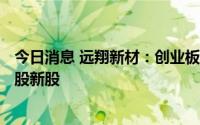 今日消息 远翔新材：创业板IPO网上投资者放弃认购3.66万股新股