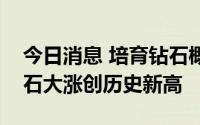 今日消息 培育钻石概念股开盘走强，力量钻石大涨创历史新高