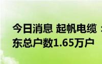 今日消息 起帆电缆：截至8月10日，公司股东总户数1.65万户