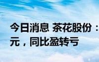 今日消息 茶花股份：上半年净亏损812.53万元，同比盈转亏