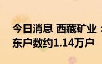 今日消息 西藏矿业：截至8月10日，公司股东户数约1.14万户