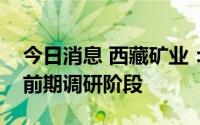 今日消息 西藏矿业：区内盐湖资源整合尚在前期调研阶段