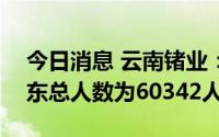 今日消息 云南锗业：截至8月10日，公司股东总人数为60342人