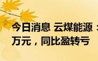 今日消息 云煤能源：上半年净亏损6076.38万元，同比盈转亏