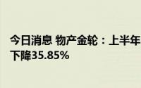 今日消息 物产金轮：上半年归母净利润5162.19万元，同比下降35.85%