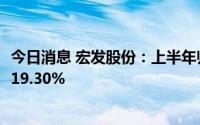 今日消息 宏发股份：上半年归母净利润6.21亿元，同比增长19.30%