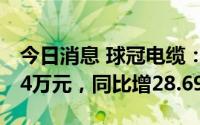 今日消息 球冠电缆：上半年归母净利4236.84万元，同比增28.69%