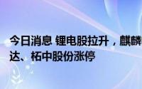 今日消息 锂电股拉升，麒麟电池方向领涨，维科技术、科士达、柘中股份涨停