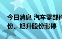 今日消息 汽车零部件板块直线走高，嵘泰股份、旭升股份涨停