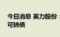 今日消息 英力股份：控股股东质押100万张可转债