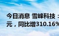 今日消息 雪峰科技：上半年归母净利2.21亿元，同比增310.16%