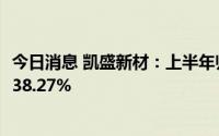 今日消息 凯盛新材：上半年归母净利润1.31亿元，同比上涨38.27%