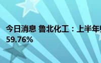 今日消息 鲁北化工：上半年归母净利润1.09亿元，同比下滑59.76%