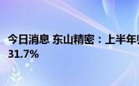 今日消息 东山精密：上半年归母净利润7.96亿元，同比上涨31.7%