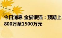 今日消息 金猫银猫：预期上半年录得公司拥有人应占净亏损800万至1500万元