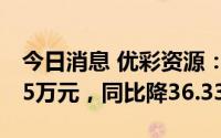 今日消息 优彩资源：上半年归母净利3826.35万元，同比降36.33%