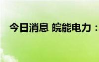 今日消息 皖能电力：董事廖雪松因病去世