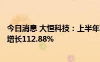 今日消息 大恒科技：上半年归母净利润8523.44万元，同比增长112.88%