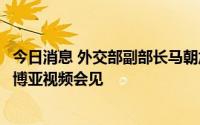 今日消息 外交部副部长马朝旭同巴西金砖国家事务协调人萨博亚视频会见