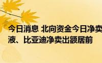 今日消息 北向资金今日净卖出46.13亿元，国轩高科、五粮液、比亚迪净卖出额居前