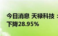 今日消息 天禄科技：上半年归母净利润同比下降28.95%