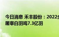 今日消息 禾丰股份：2022全年，公司计划实现控参股合计屠宰白羽鸡7.3亿羽