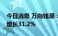 今日消息 万向钱潮：上半年归母净利润同比增长31.2%