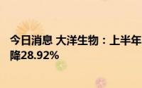 今日消息 大洋生物：上半年归母净利润3734.18万元，同比降28.92%