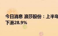 今日消息 浪莎股份：上半年归母净利润617.82万元，同比下滑28.9%