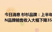 今日消息 杉杉品牌：上半年溢利跌至20万元，SHANSHAN品牌销售收入大幅下降35.9%