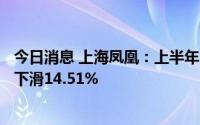 今日消息 上海凤凰：上半年归母净利润5317.11万元，同比下滑14.51%