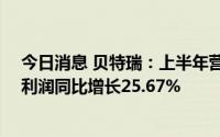 今日消息 贝特瑞：上半年营收同比增长142.47%，归母净利润同比增长25.67%