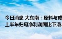 今日消息 大东南：原料与成品差价不明显、市场压力较大，上半年归母净利润同比下滑39.1%