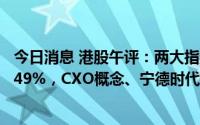 今日消息 港股午评：两大指数低开低走，香港恒生指数跌0.49%，CXO概念、宁德时代概念等领跌